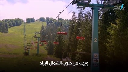 شعر في حب الأجواء الصيفية