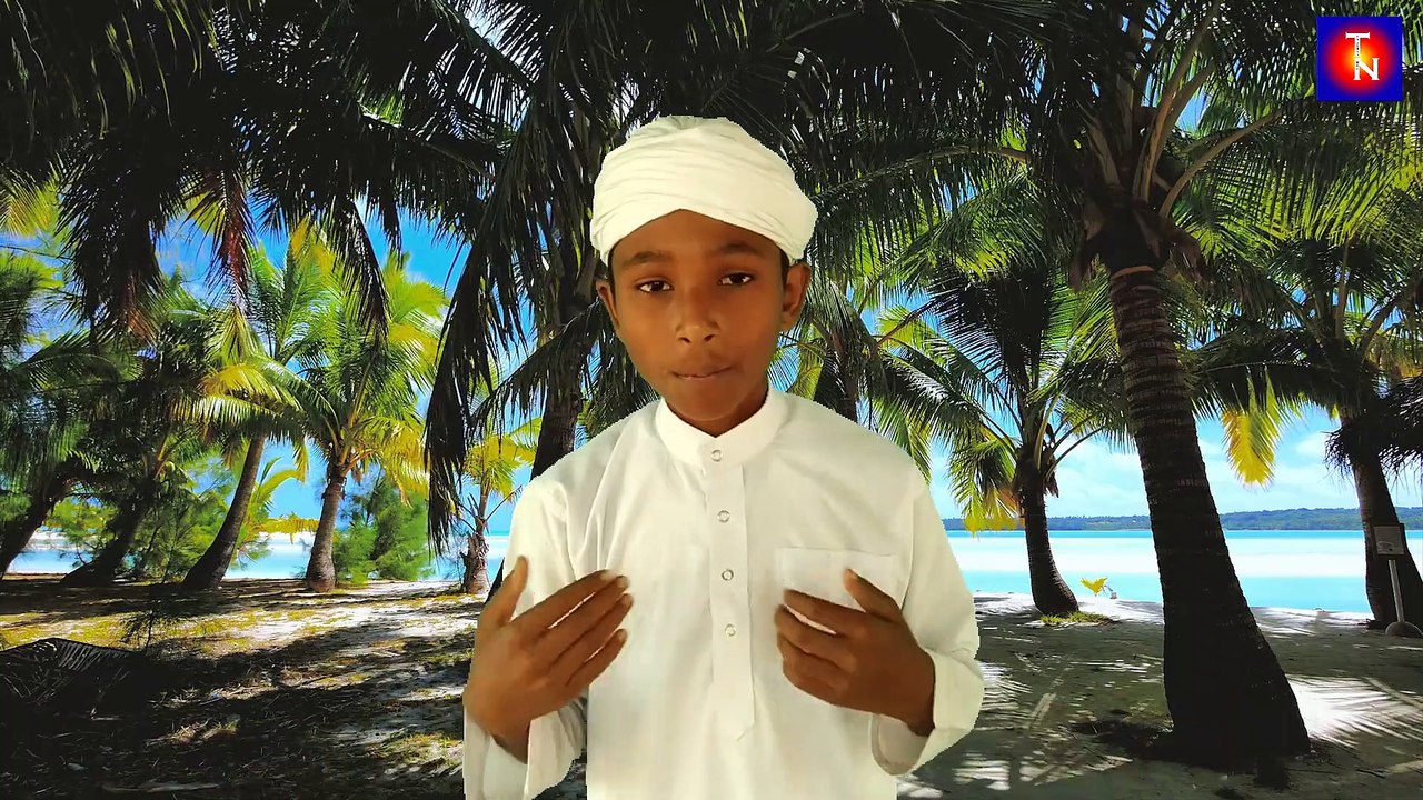 New Islamic Song | Bangla Gojol - Bangla Naat - 2020 বাংলা গজল - Bangla Song - Md Nurul Islam - Tn Talabah Naat