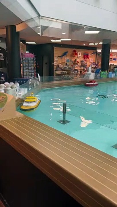 Bateaux dans le rayon de Brest à Océanopolis