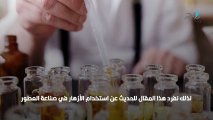 صناعة العطور من رحيق الأزهار والورود