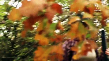 Appalachian Outlaws - Im Ginsengrausch Staffel 2 Folge 6 HD Deutsch