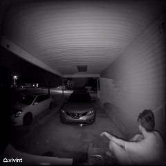 When Your Husband Is a Secret Wizard