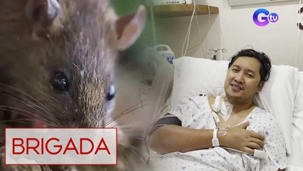 Leptospirosis, paano nga ba maiiwasan? | Brigada