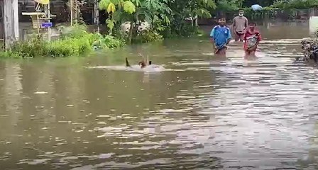 วิกฤติ! "น้ำลำเชียงไกร" ล้นตลิ่ง ทะลักท่วมบ้านเรือน สูงกว่า 1 เมตร