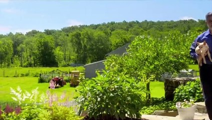 Dog Hollywood - Vom Streuner zum Star Staffel 1 Folge 3 HD Deutsch