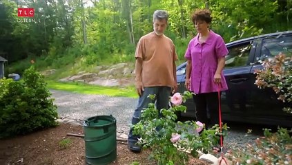 Dog Hollywood - Vom Streuner zum Star Staffel 1 Folge 4 HD Deutsch