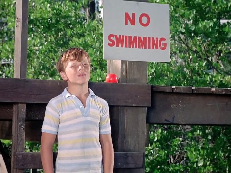 Flipper Staffel 1 Folge 28 HD Deutsch