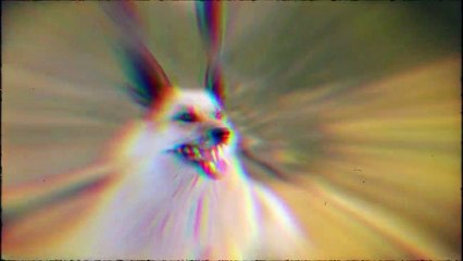 Even Robbers Would be Afraid of These Dogs