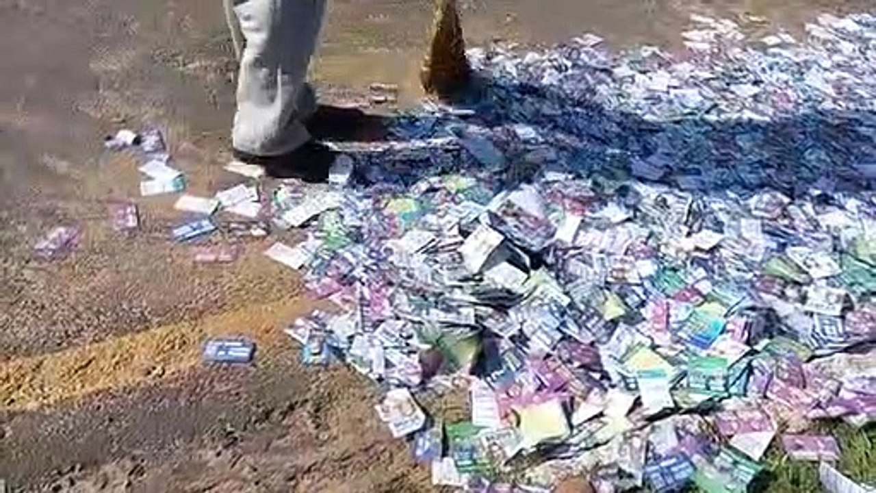 Parque Industrial: Família recolhe santinhos jogados em frente a escola para destinar à reciclagem