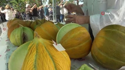 Menteşeli kavun üreticileri kıyasıya yarıştı