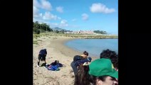 I volontari ripuliscono i laghetti di Termini Imerese