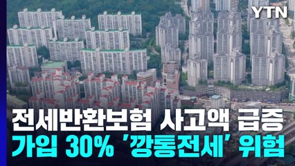 깡통전세에 전세반환보험 사고액 급증...전세금 보증 가입 3분의1 '위험' / YTN