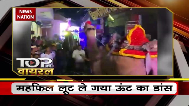 Viral Videos : ट्रक के भार से टूट गया पुल, हादसे का वीडियो हो रहा वायरल