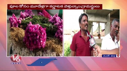 下载视频: Huge Demand For Gunugu puvvu&  Thangedu puvvu, Villagers Facing Problems _ Medak _ V6 News