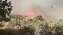 Antalya haber! Kaş'taki orman yangınına 4 uçak, 3 helikopter müdahale ediyor