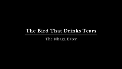 The Bird That Drinks Tears Official Concept Trailer.