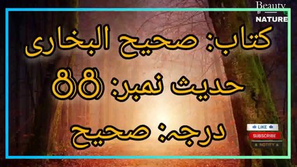 Sahih Bukhari Hadees No.88 _ Hadees Nabvi in Urdu _ Bukhari Hadees _ Beauty of NatureAR