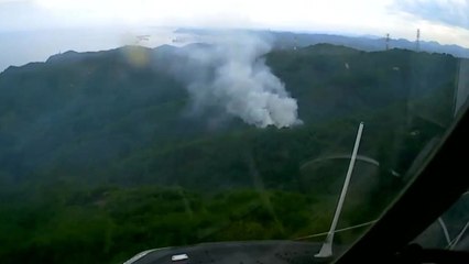삼척 임원리 야산에 불...1시간 30분여 만에 진화 / YTN