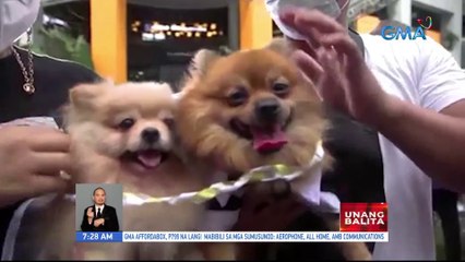 15 fur-couples, ikinasal kasabay ng pagdiriwang ng World Animal Day | UB