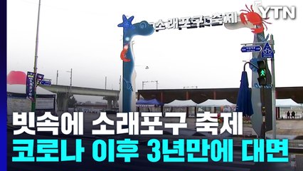 빗속에도 열린 소래포구 축제..."보고 즐길 거리 가득" / YTN