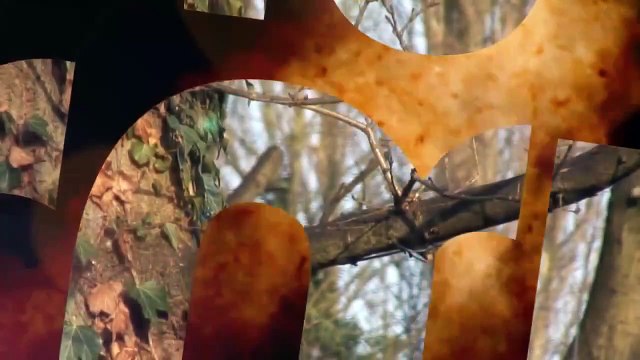 The Airgun Show – night rat shooting, PLUS the FX Indy on test