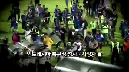 [영상구성] '지옥'이 된 그라운드…인도네시아 축구장 참사