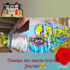 Résumé champs sur marne en video