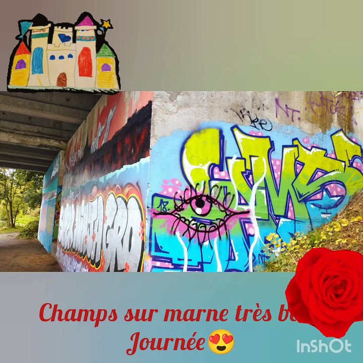 Résumé champs sur marne en video