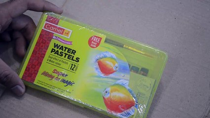 Camel Water Pastels - 12 Shades