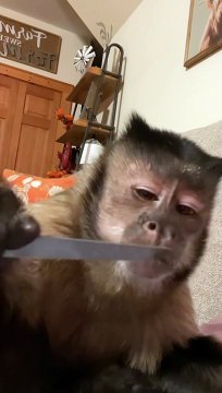 Some use their fingers. What do you use- Dont act like you dont pick your nose too!!! I use moms nail file people ask if I throw ewwie nope but i do pick my nose sometimes and sample