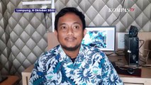 Viral Ribuan Ikan Naik ke Daratan di Lampung, Berikut Penjelasan BMKG