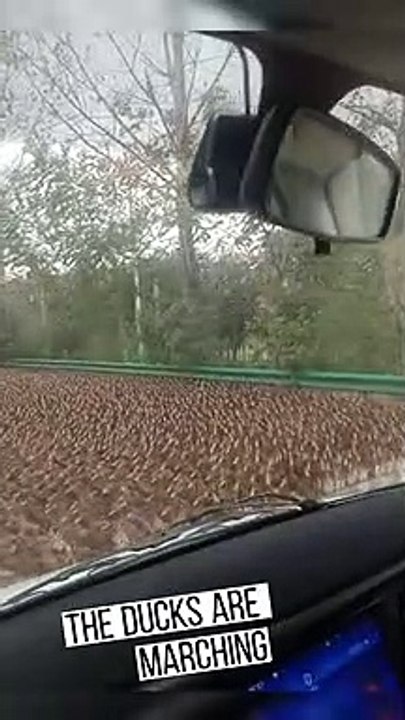 When you get inspired by military