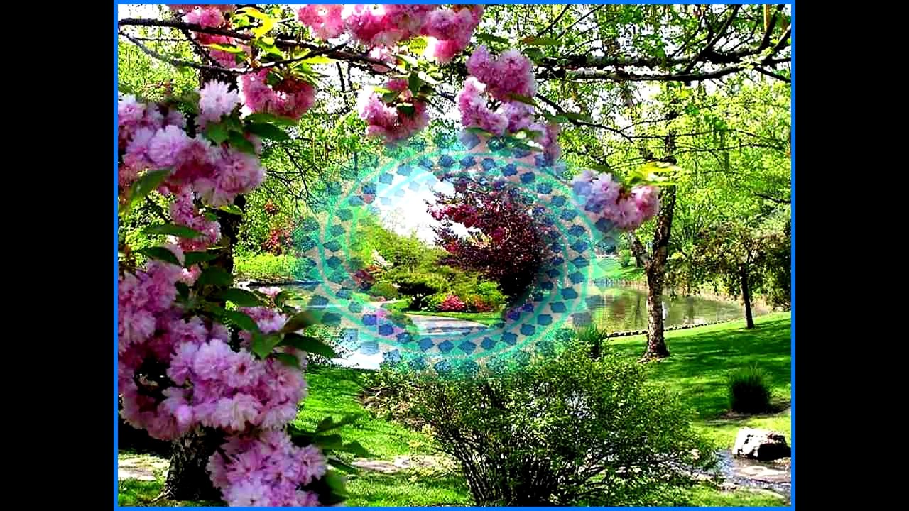 jardins-en-fleurs-yug1505