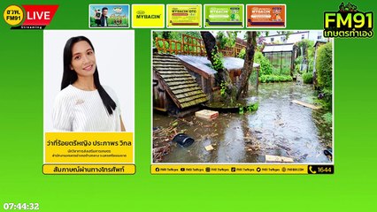 การฟื้นฟู ดูแลต้นไม้หลังน้ำท่วม : FM91 เกษตรทำเอง : 9 ตุลาคม 2565