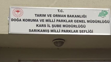 Son dakika haberleri! Çocukların yaralı bulduğu kerkenez tedaviye alındı