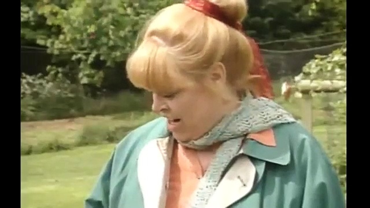 Cbeebies Come Outside   GEESE