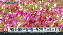 비 그치고 찬바람…주중반 올가을 들어 가장 쌀쌀