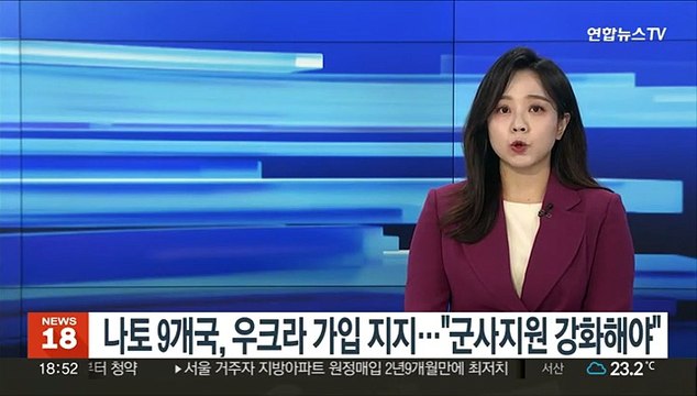 나토 9개국, 우크라 가입 지지… 군사 지원 강화해야