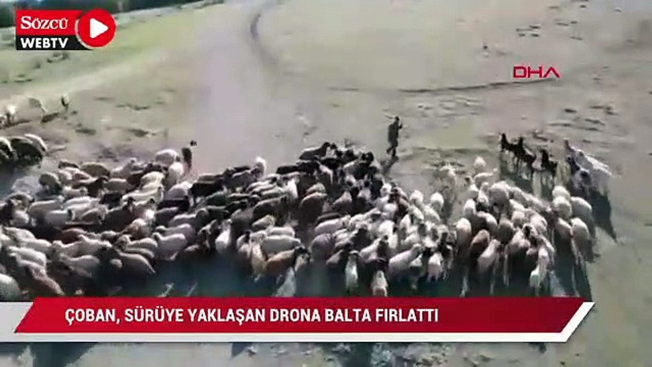 Çoban Sürüye yaklaşaan drone balta fırlattı