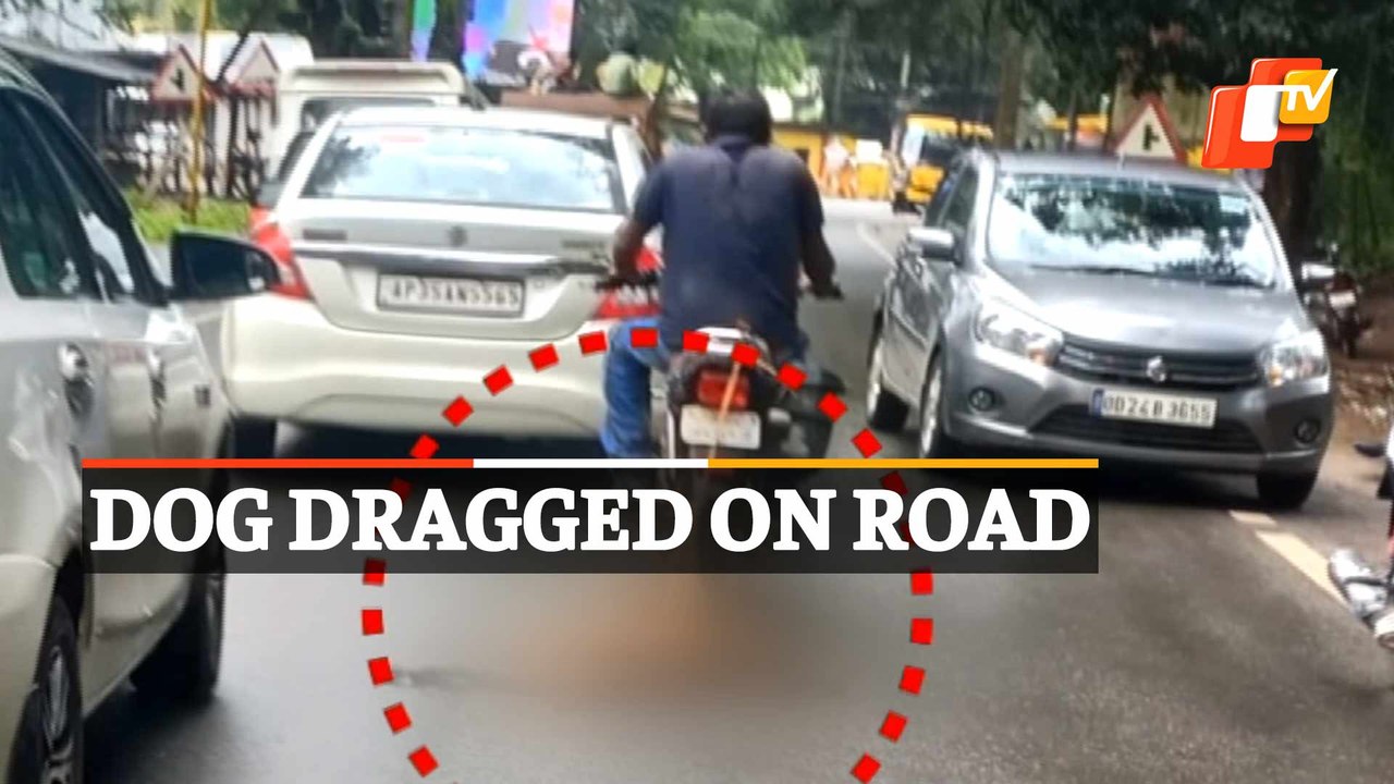 Dog tied to bike, dragged along road in viral video; case filed - video ...