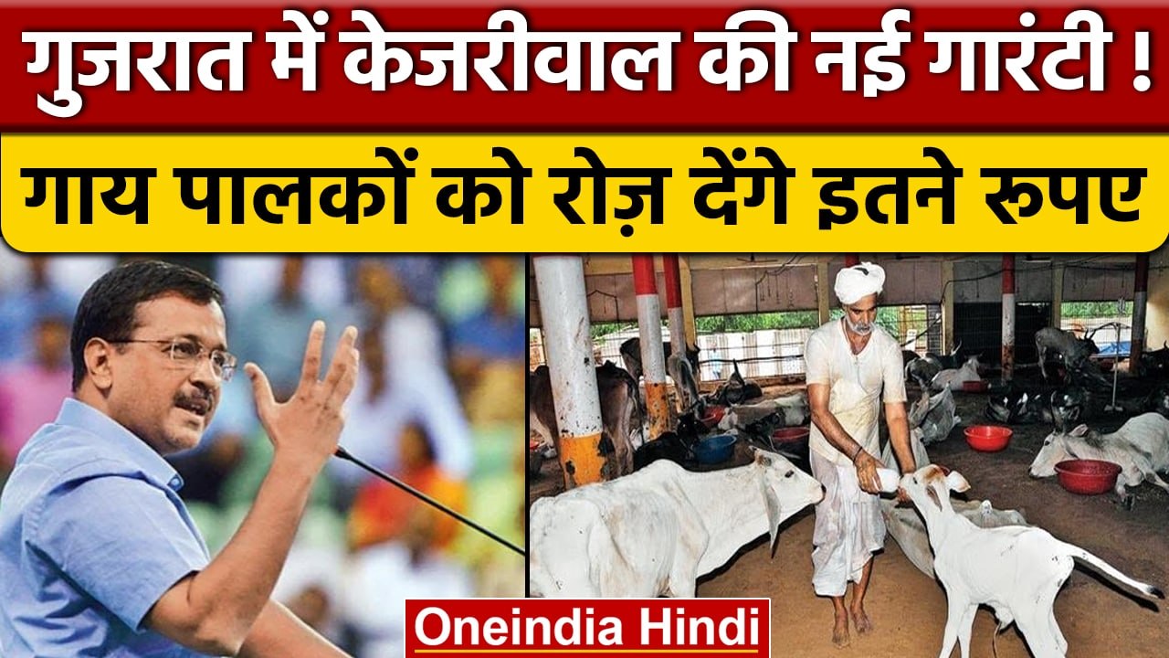 Gujrat Elections 2022: Kejriwal ने गायों पर की बड़ी घोषणा | वनइंडिया हिंदी |*News