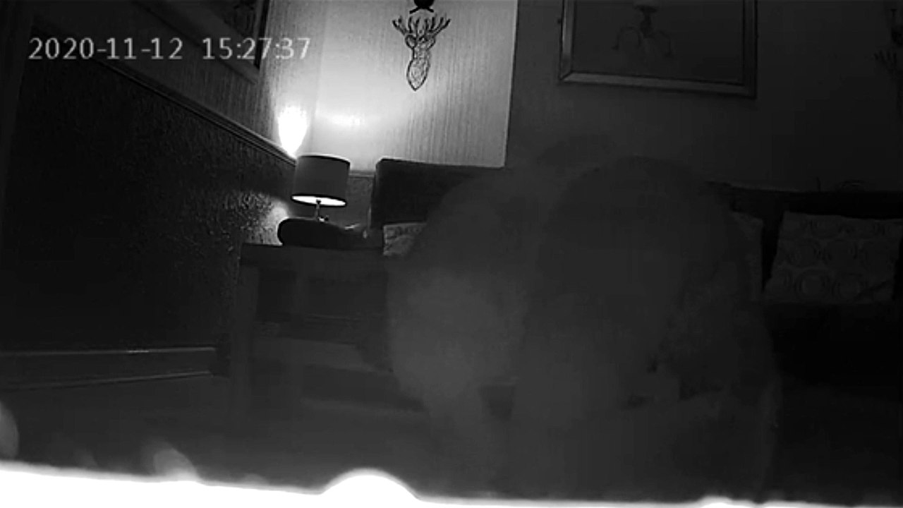 A woman has told how her "creepy stalker" neighbour was caught on camera trying to remove secret listening devices he planted in her house - including one on her BED