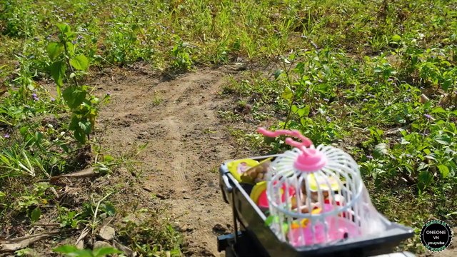 Relaxing Whirlpool Experiment With Toy Bird Cages #21 Video Whirlpool Relaxing With Truck Concrete Kids Video, Cartoon Video, Kids For Cartoon, Cartoon For Kids, Video Whirlpool, Relaxing Video, Truck, Car, Kids Truck, Kids Car, Kids Toy,
