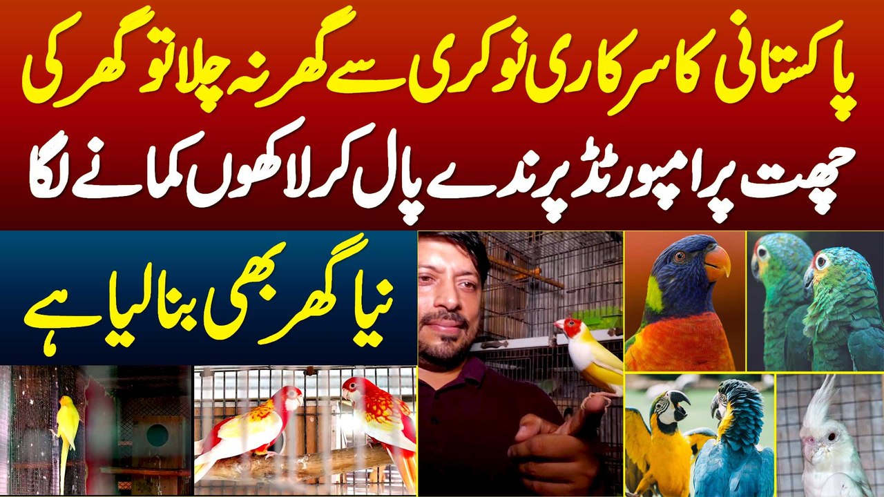 Government Job Se Ghar Na Chala Tu Naujawan Ghar Ki Chhat Pe Imported Birds Pal K Lakhon Kamane Laga