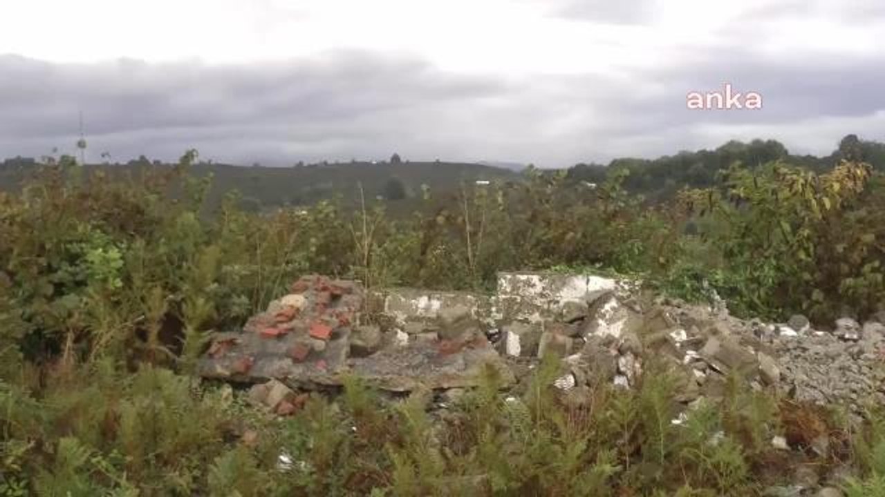 Düzce yerel haberleri: Mahmut Tanal, Düzce'de Fındık Ağaçlarının Kesildiği Köyde: "Bu Araziye Tüm İşlemleri Bitmesine Rağmen Hastane İnşaatına Neden Başlanmıyor"