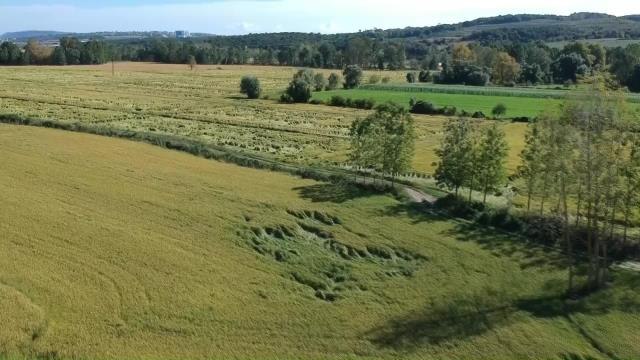 Sinop haberleri: Sinop'ta Yağış Nedeniyle 100 Dönümlük Tarım Arazisi Zarar Gördü