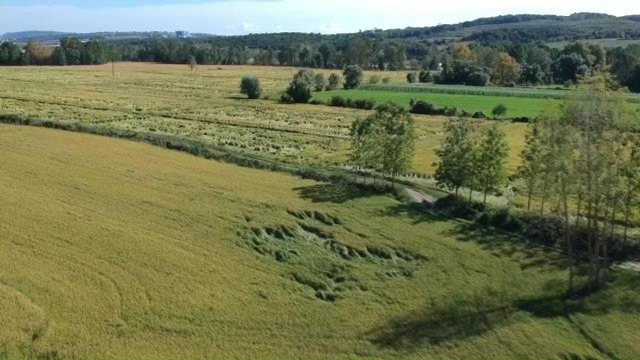 Sinop haberleri: Sinop'ta Yağış Nedeniyle 100 Dönümlük Tarım Arazisi Zarar Gördü