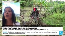 Informe desde Caracas: delegación del ELN llegó a Venezuela para diálogos de paz
