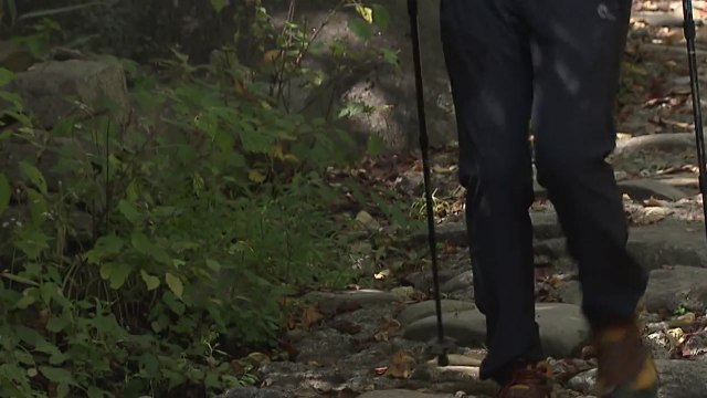 단풍철 산악사고 10월 최다... 초보자·고령자 주의해야 / YTN