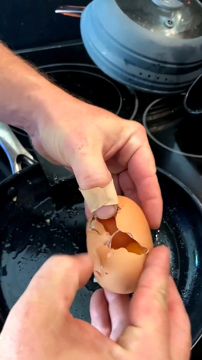 Cracking into Egg-Ception